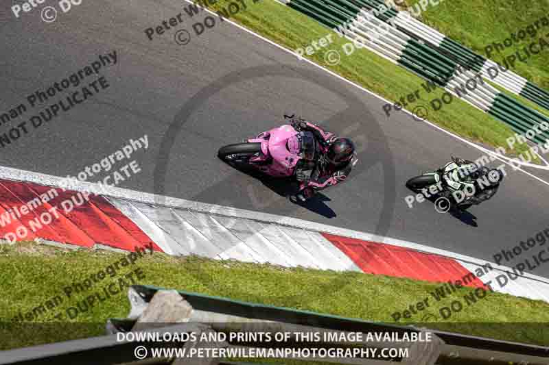 cadwell no limits trackday;cadwell park;cadwell park photographs;cadwell trackday photographs;enduro digital images;event digital images;eventdigitalimages;no limits trackdays;peter wileman photography;racing digital images;trackday digital images;trackday photos